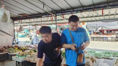聊城市查验心抽调专业手艺构成专项小组